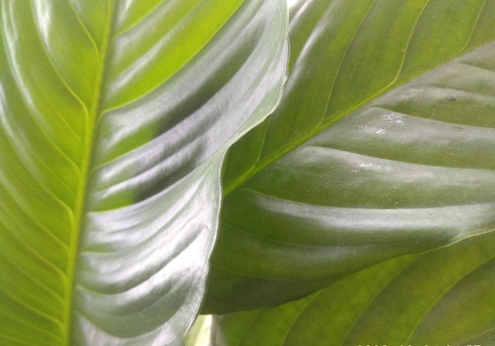 Photograph by Вита