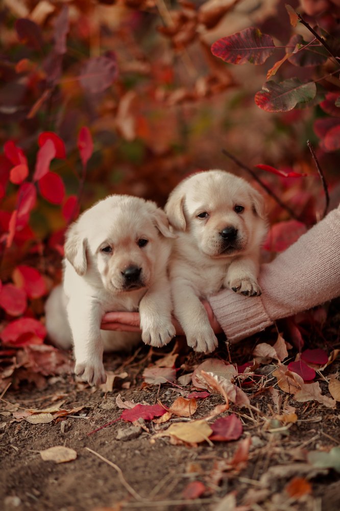 Photograph by Nina Zaytseva