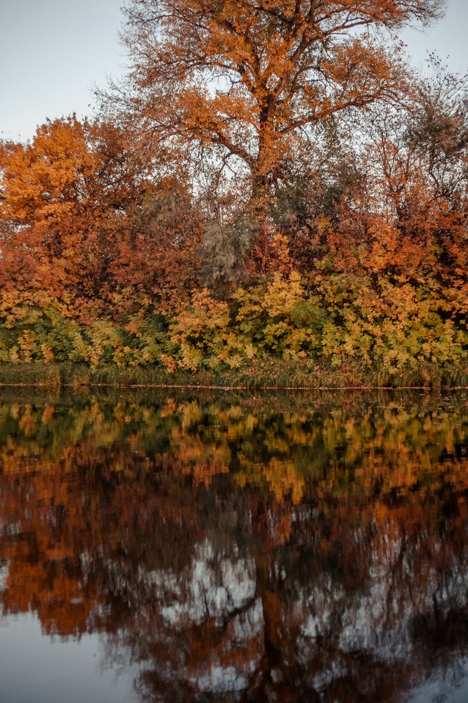 Photograph by Nina Zaytseva