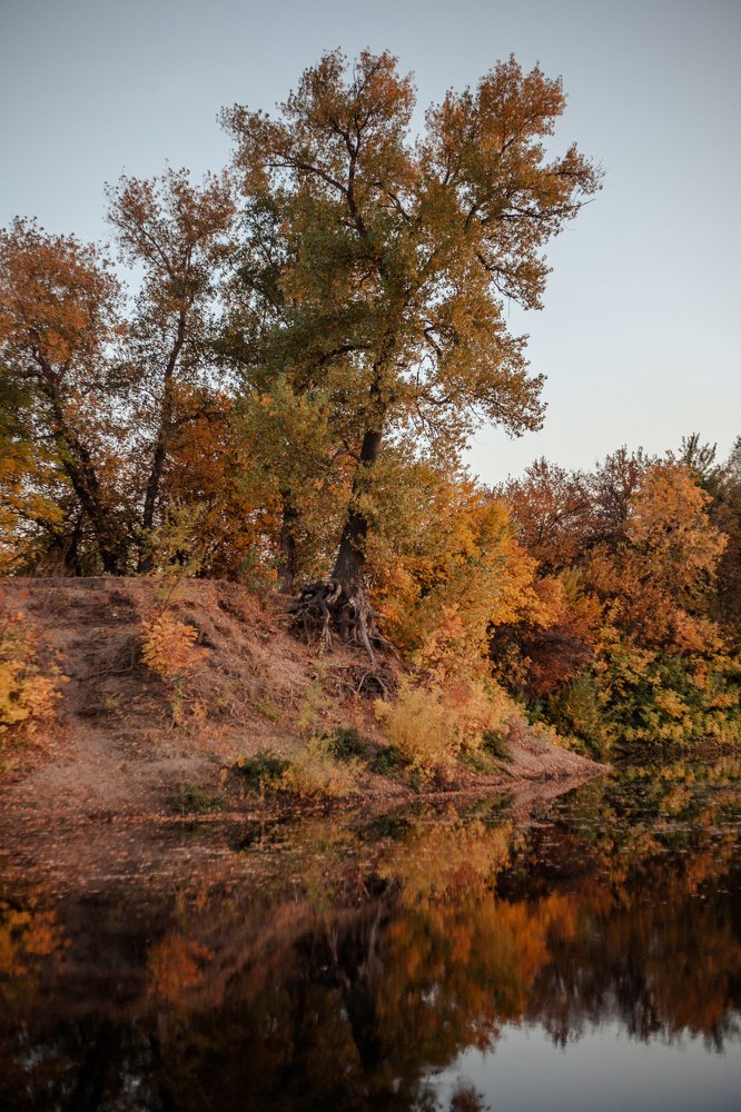 Photograph by Nina Zaytseva