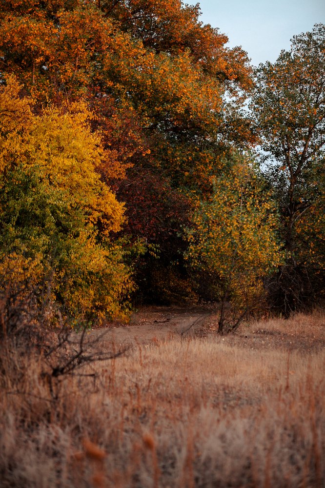 Photograph by Nina Zaytseva