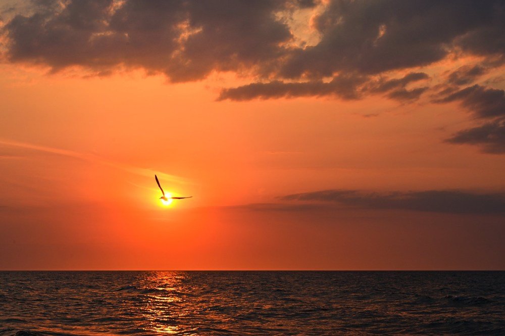 Photograph by Agnieszka Szadowiak