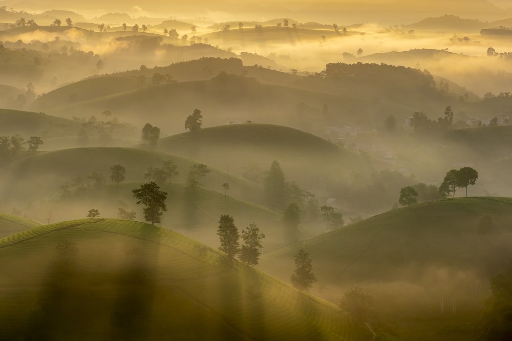 Photograph by Ngoc Vu Bao