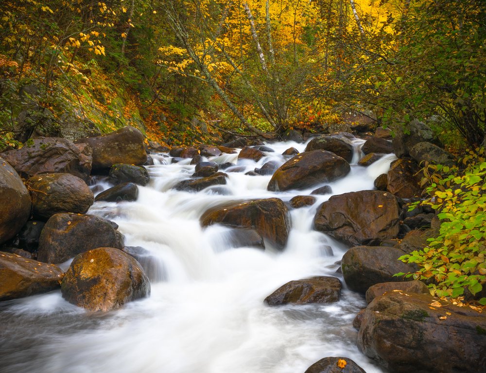 Photograph by Prybinski Miroslaw