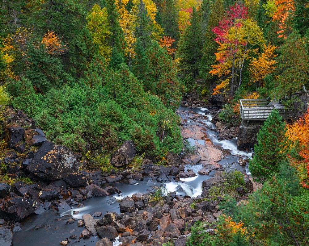 Photograph by Prybinski Miroslaw