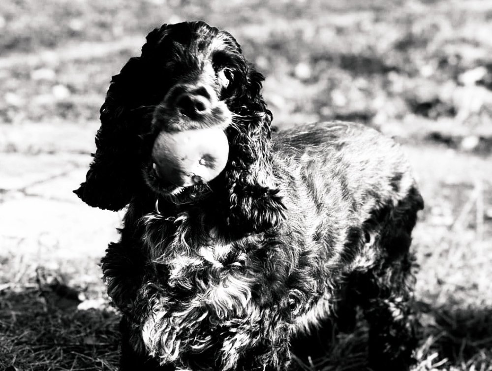 Photograph by Вита