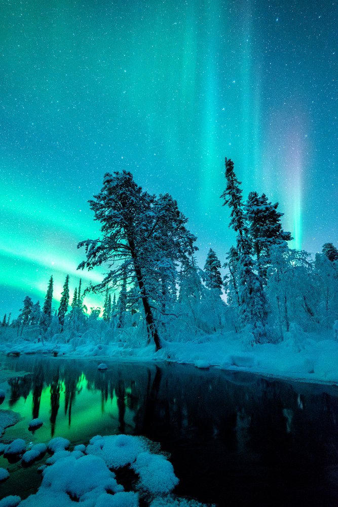 Сиятельная сказка