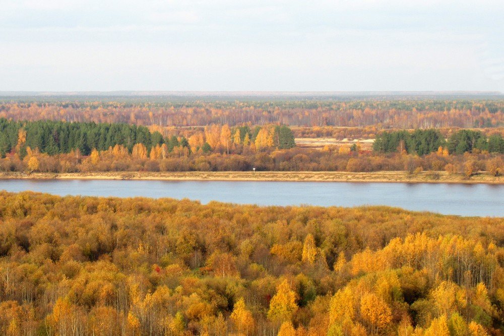 Осень золотая