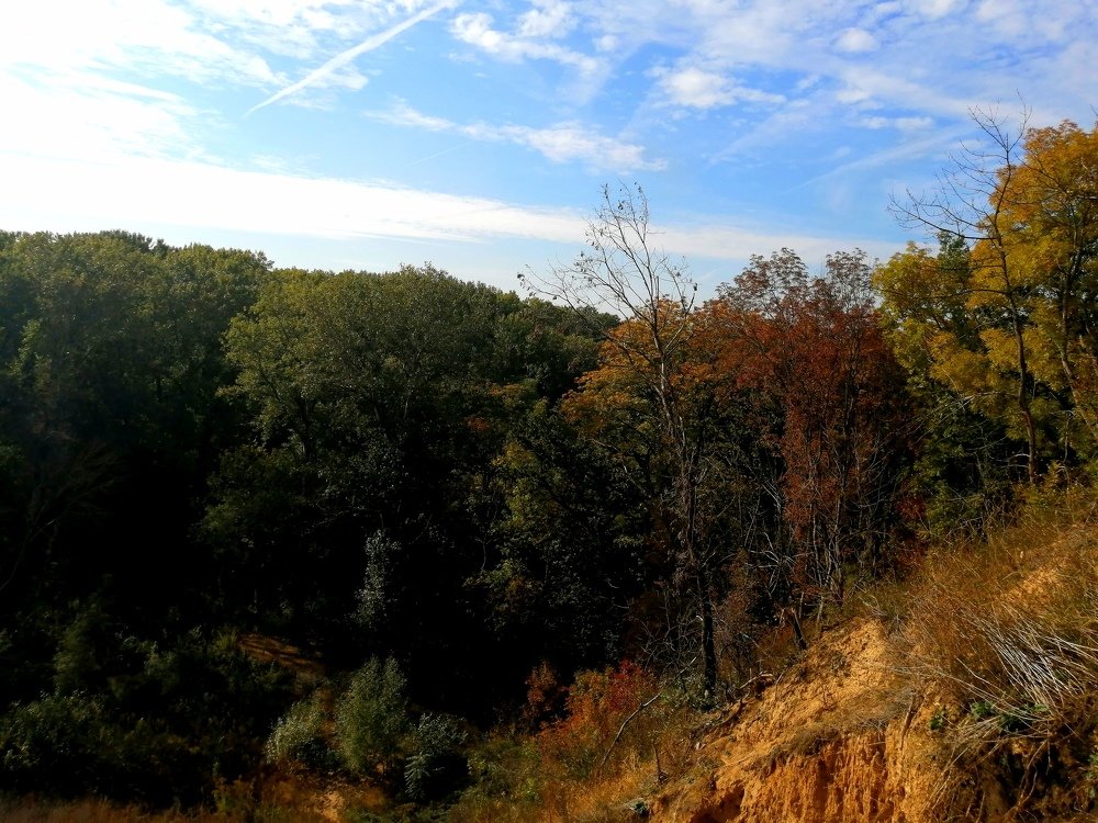 Photograph by Анна Володина