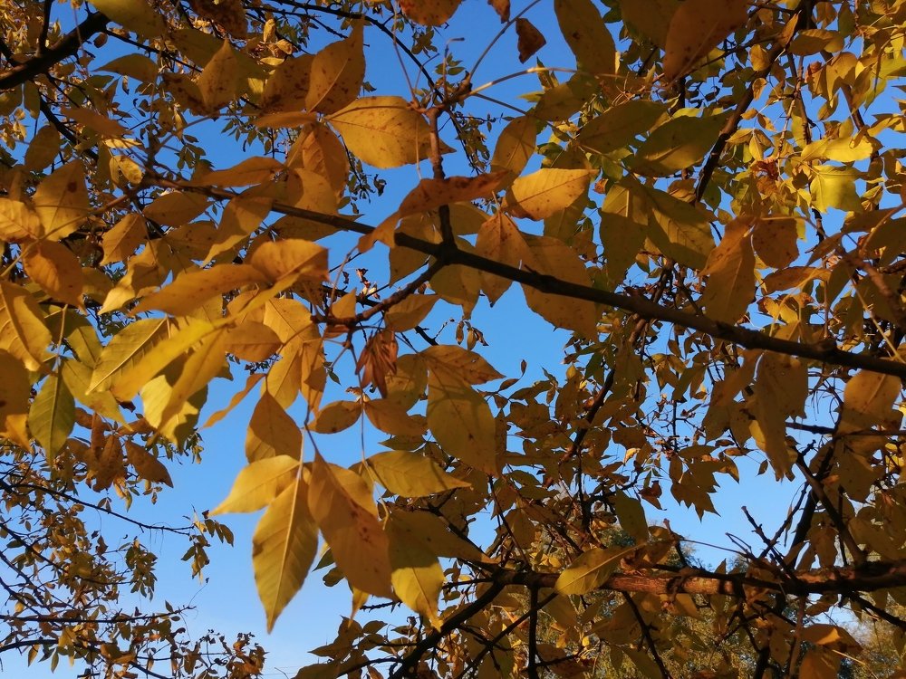 Photograph by Анна Володина