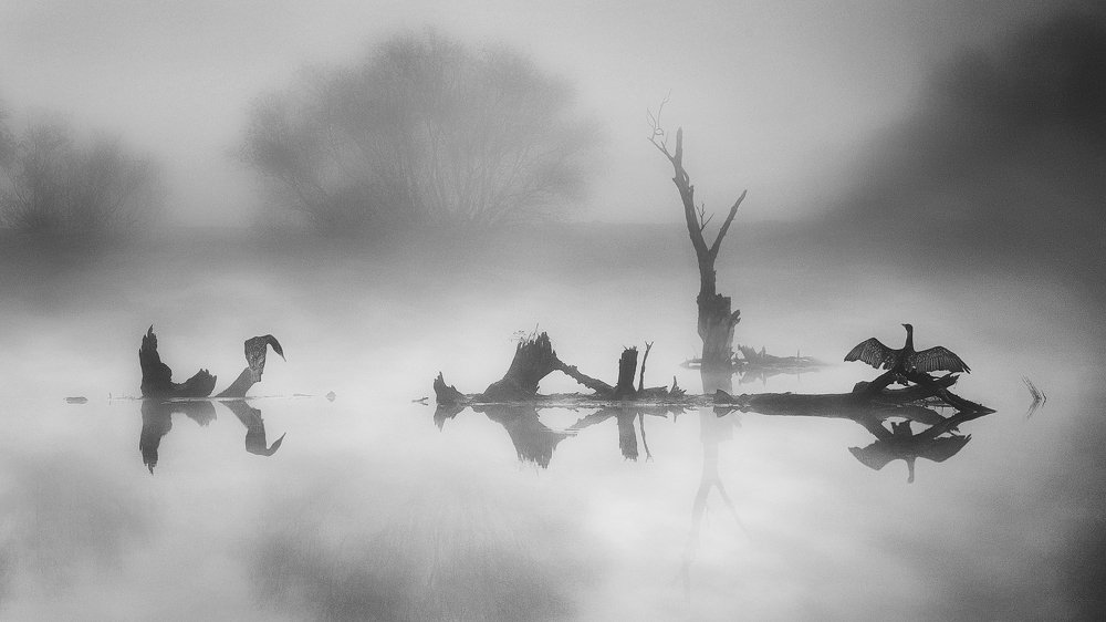 Photograph by Martin Kucera