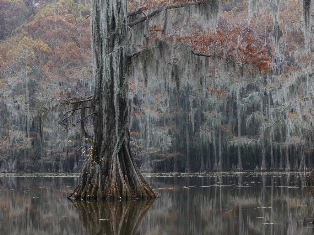 Photograph by Марина Маликова