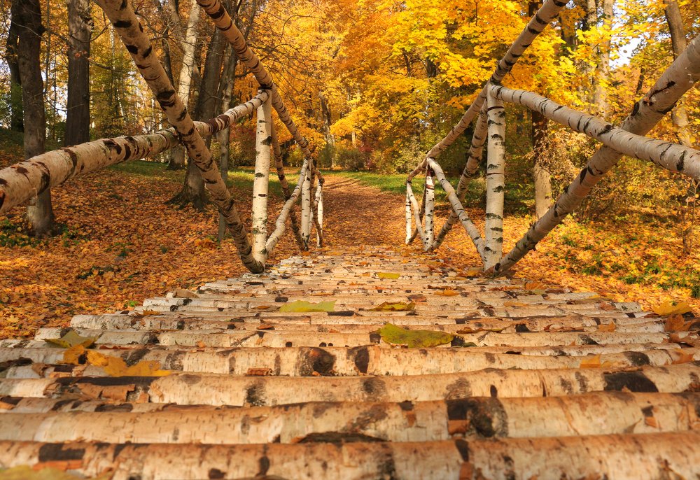 Мост в осень