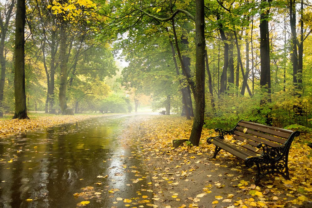 Осенний парк