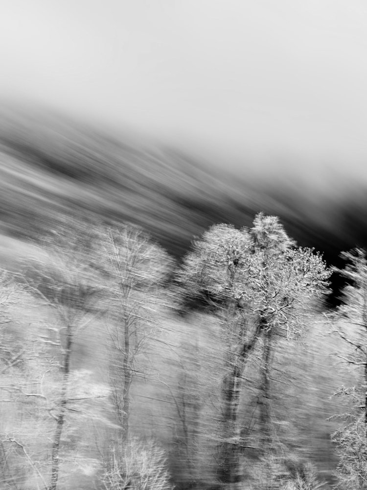 Фотография автора Мария Сурмачева