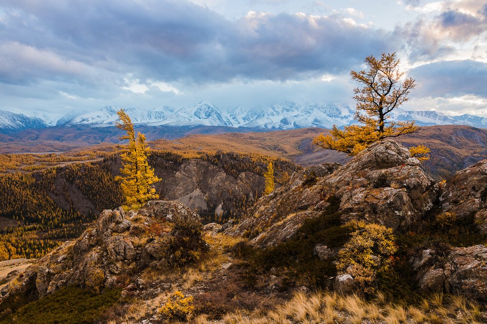 Photograph by Марина Маликова