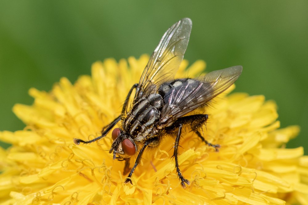 Photograph by Евгений