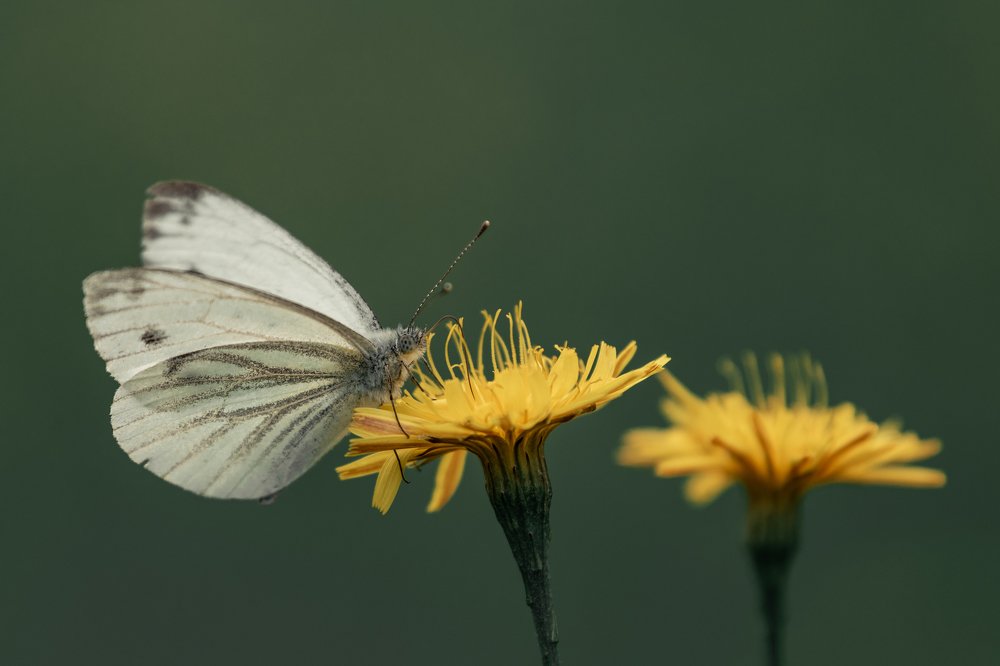 Photograph by Евгений