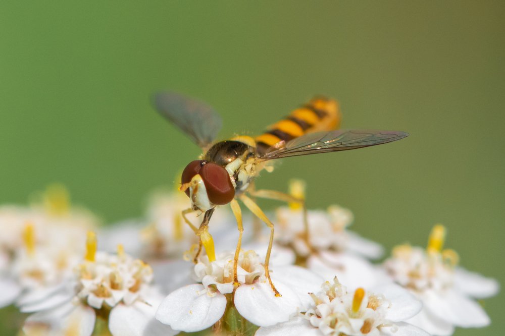 Photograph by Евгений