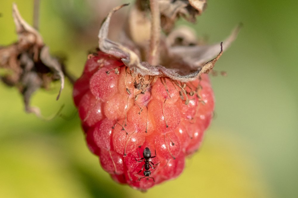 Photograph by Евгений