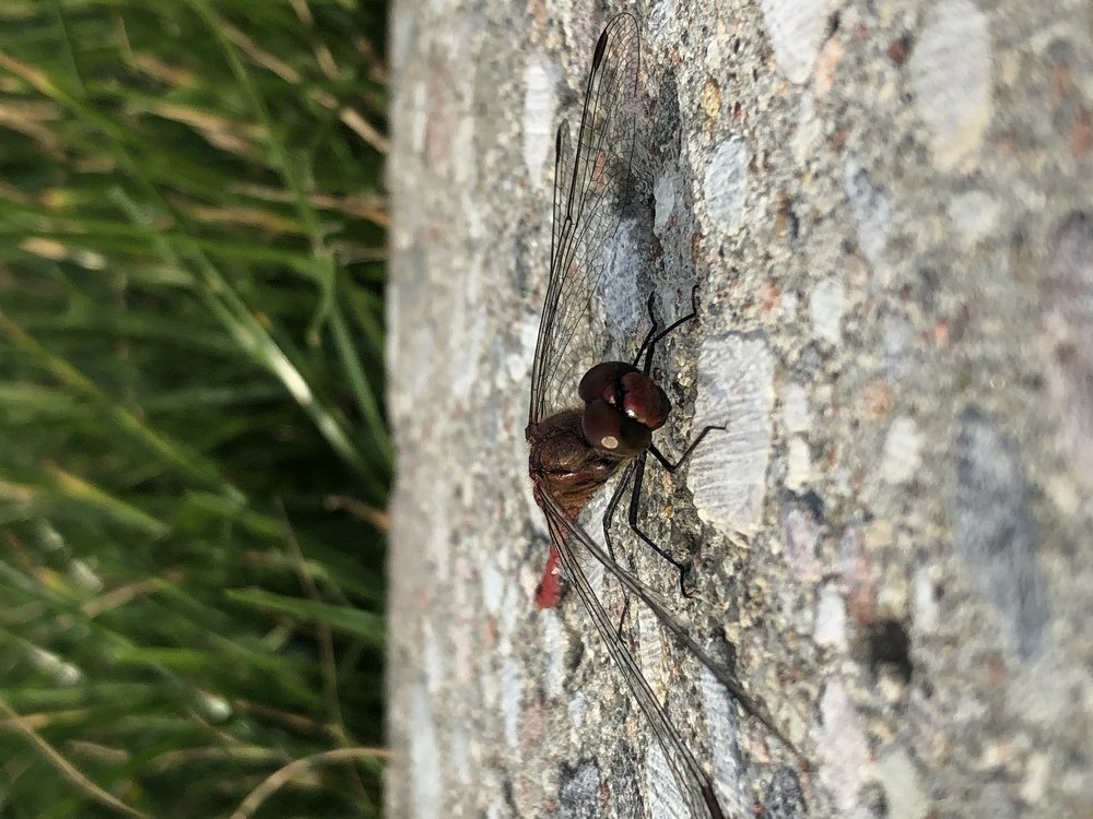 Photograph by Ирина Леонова