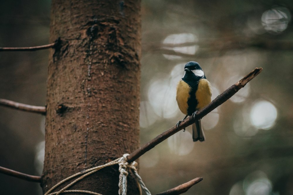 Photograph by Zorikhin Mikhail