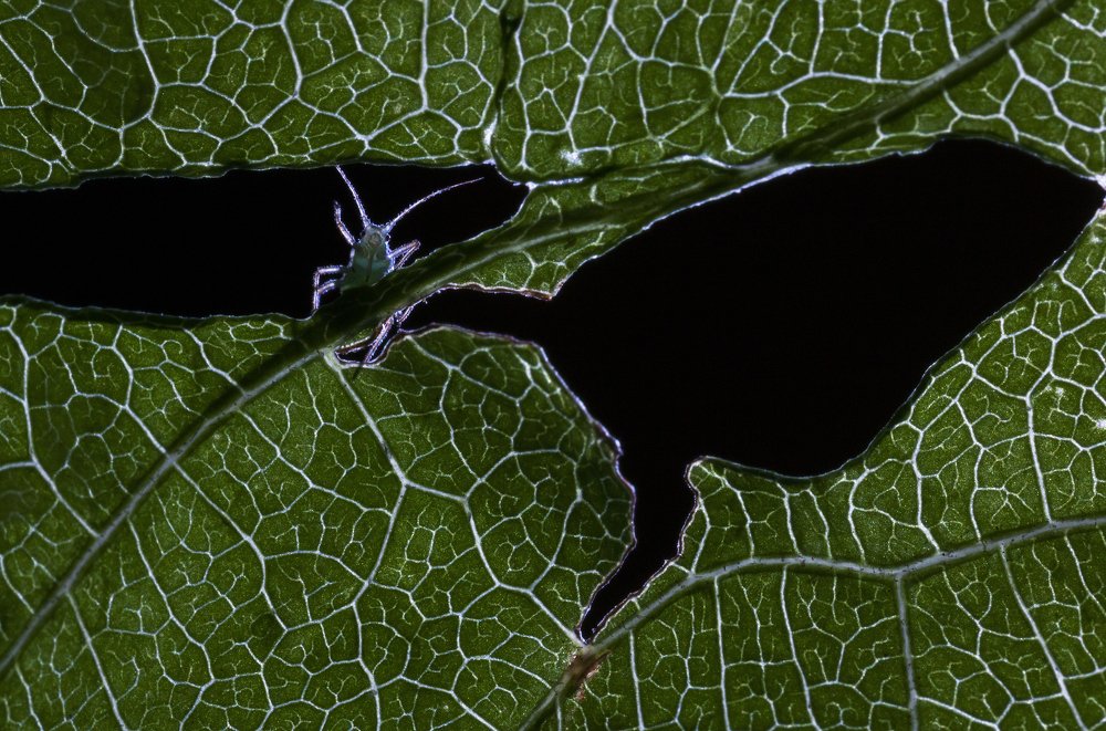 Photograph by Людмила Гудина