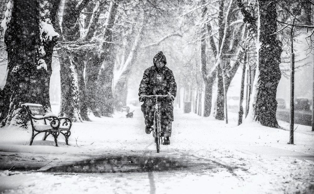 Photograph by Samir Kurtagić