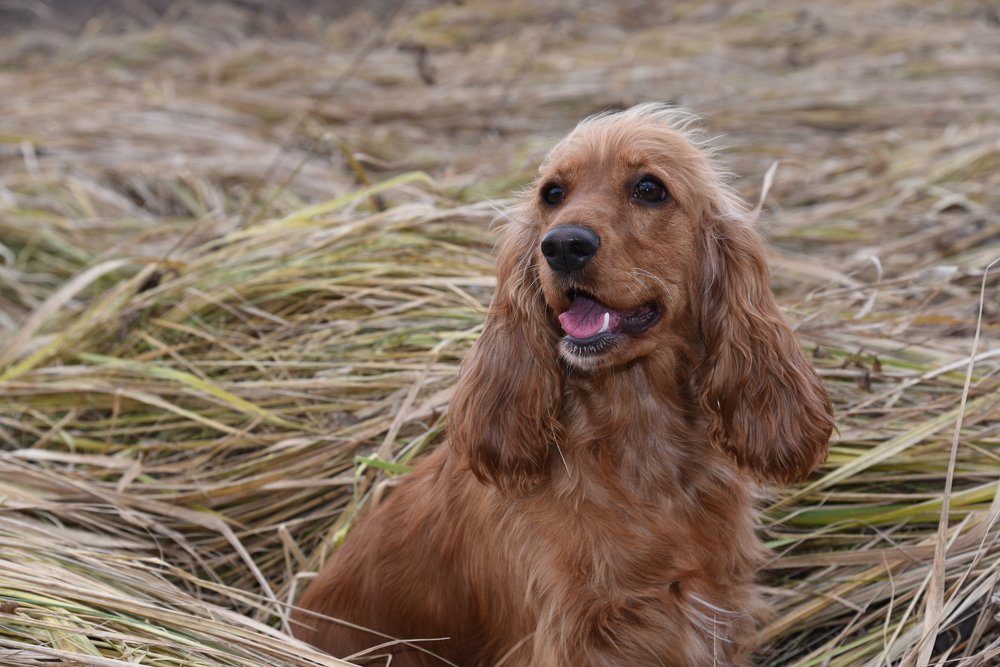 Photograph by Людмила Воропаева