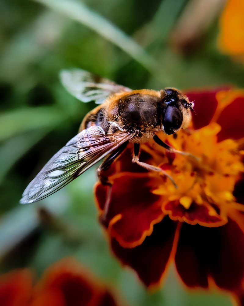 Photograph by Светлана Смирнова