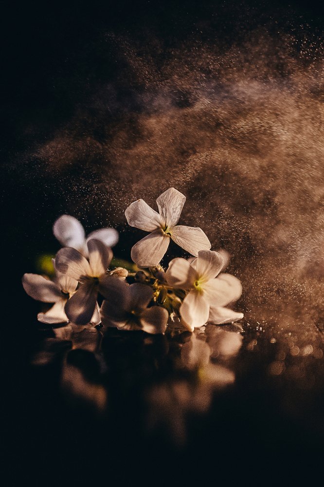 Photograph by Иванна Войт