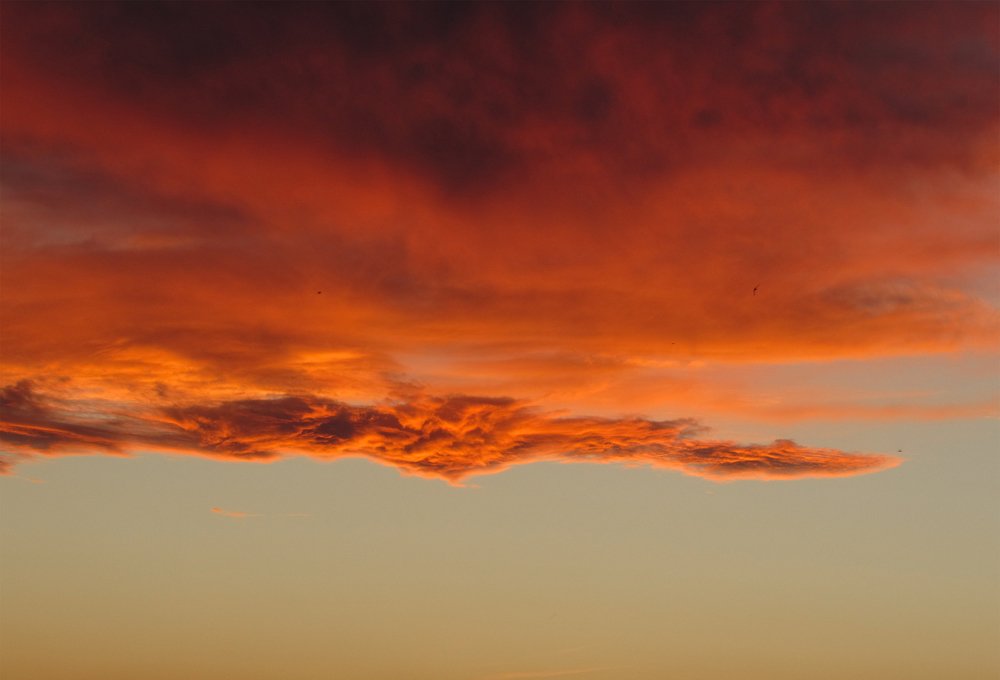 Photograph by Тихонина Анна