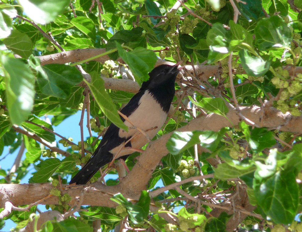 Photograph by Тихонина Анна