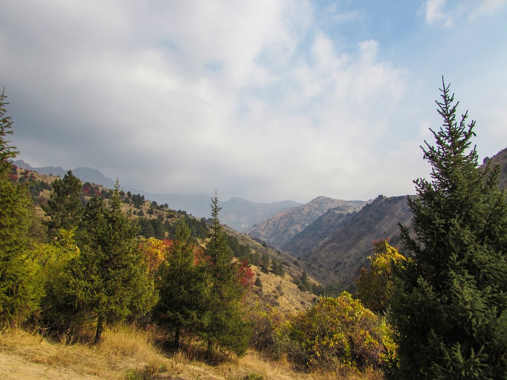 Photograph by Тихонина Анна