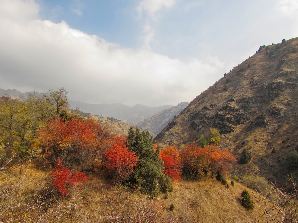 Photograph by Тихонина Анна