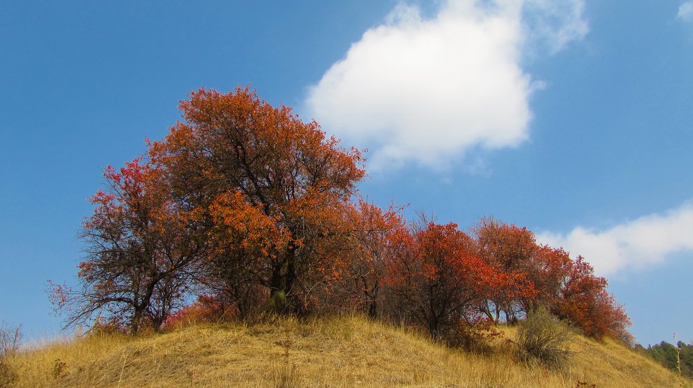 Photograph by Тихонина Анна