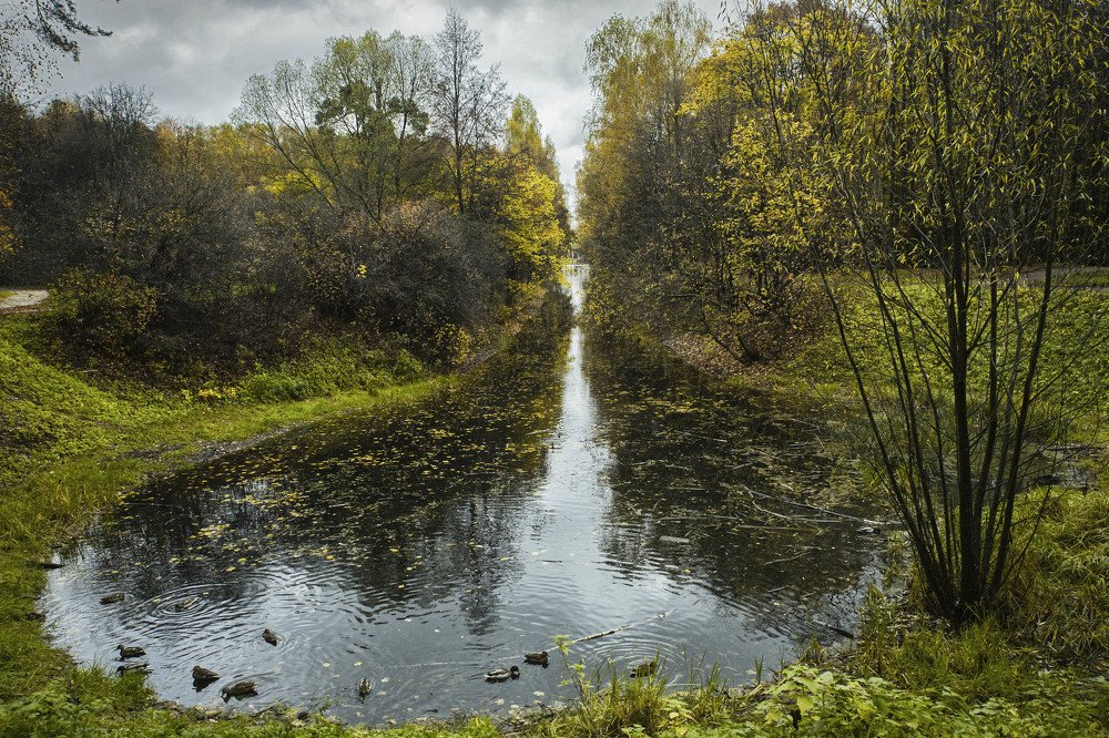 Photograph by Екатерина Рябинина