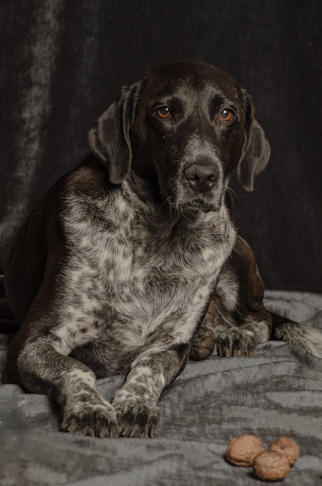 Photograph by Agnieszka Szadowiak