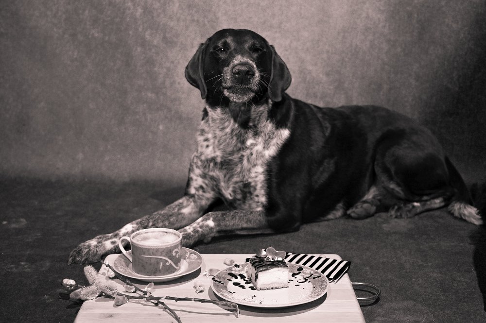 Photograph by Agnieszka Szadowiak