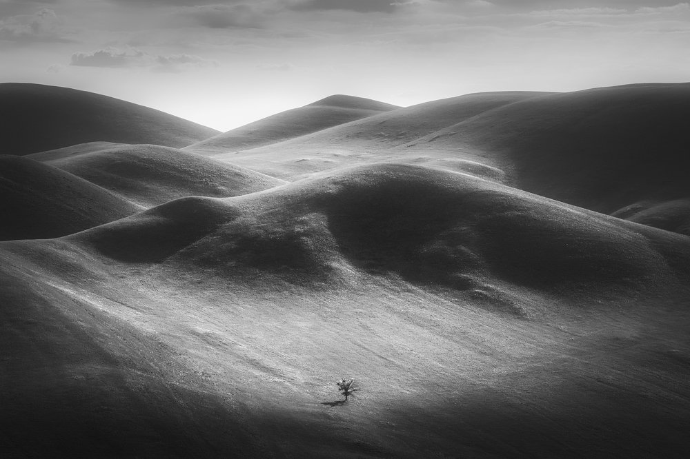 Photograph by Евгений