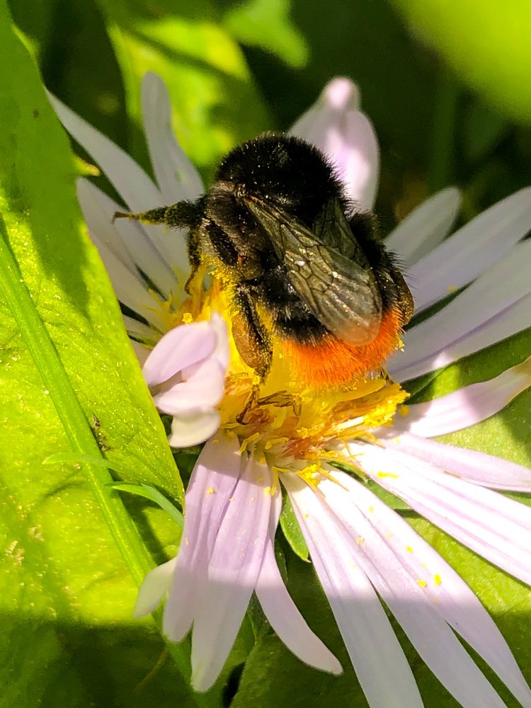 Photograph by Алена Жирова