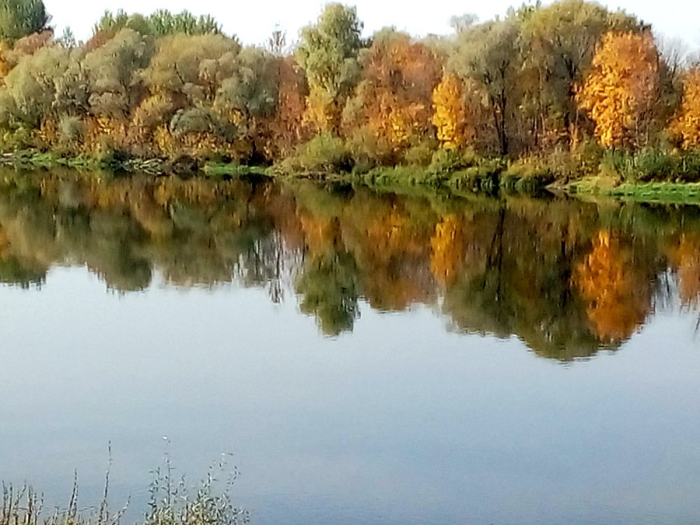 Photo #5118143