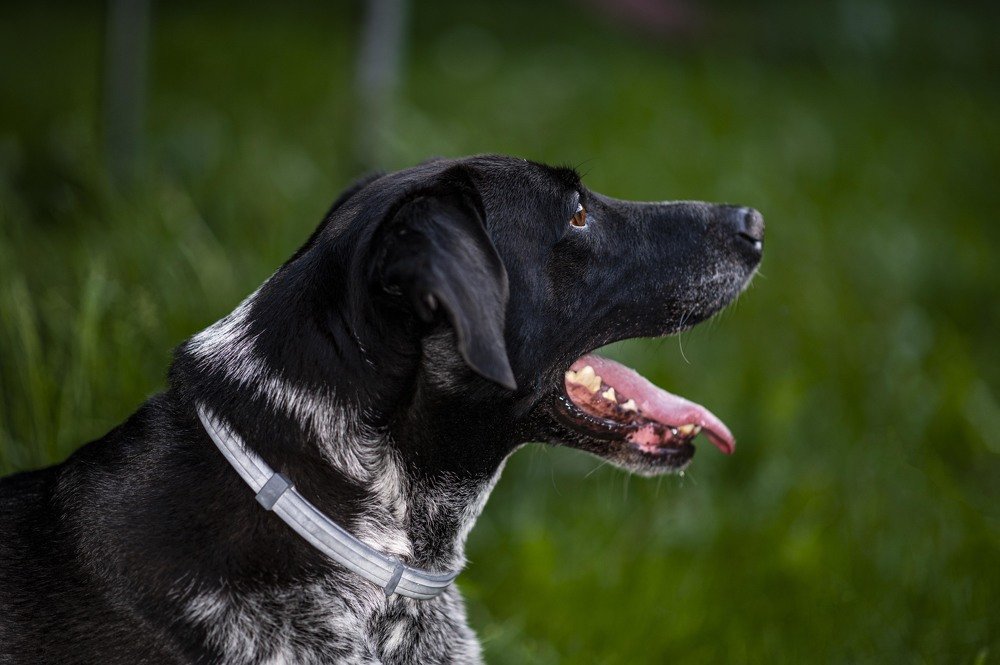 Photograph by Agnieszka Szadowiak