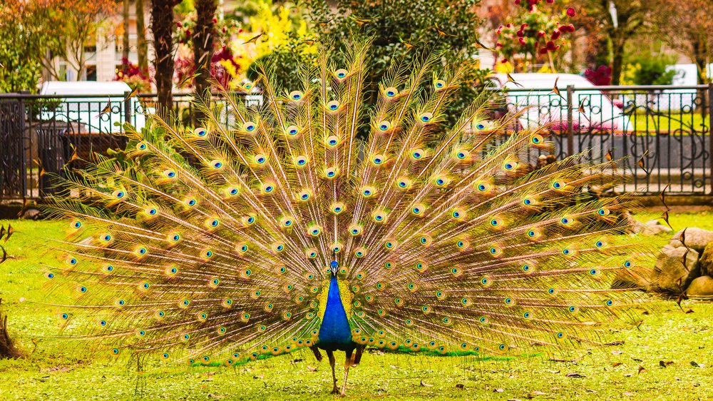 Photograph by Александр Антонов