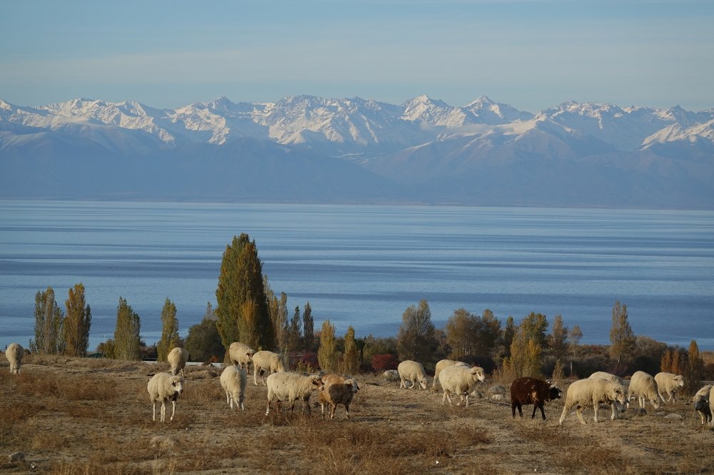 Autumn. The southern shore of Issyk Kul lake. Kyrgyzstan.