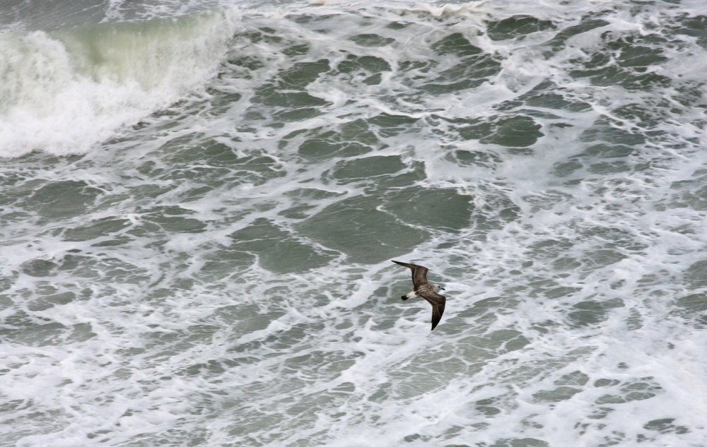 Photograph by Светлана Олина