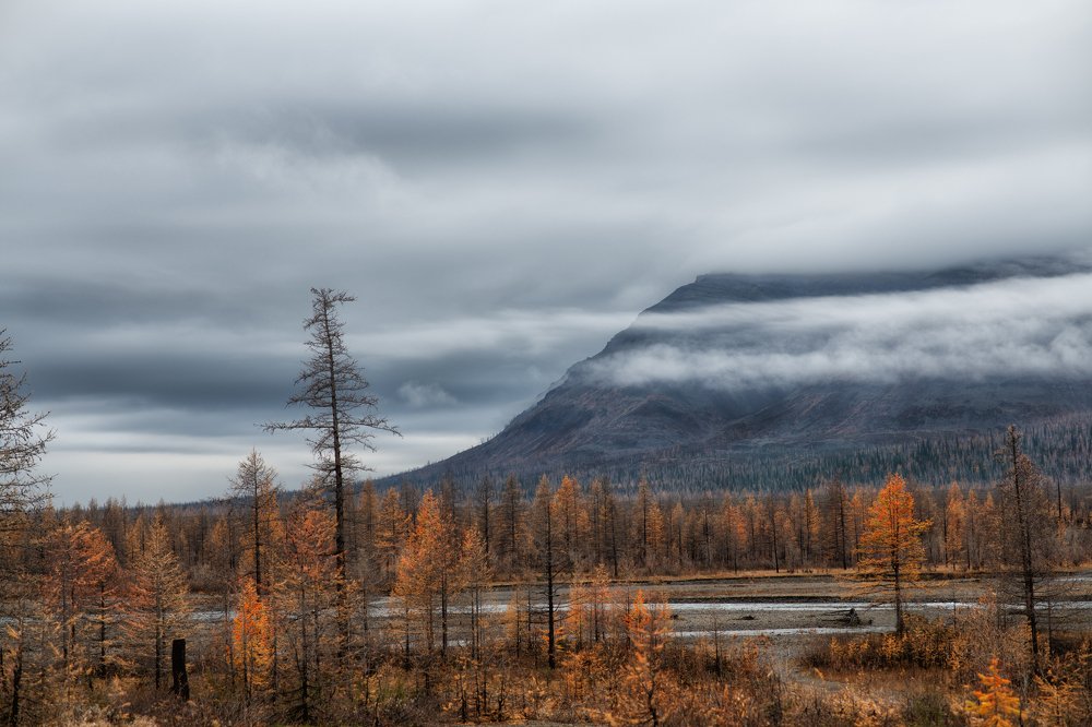 Photograph by Ирина Ульянова