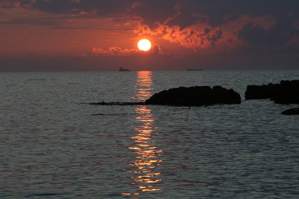 Photograph by Светлана Олина