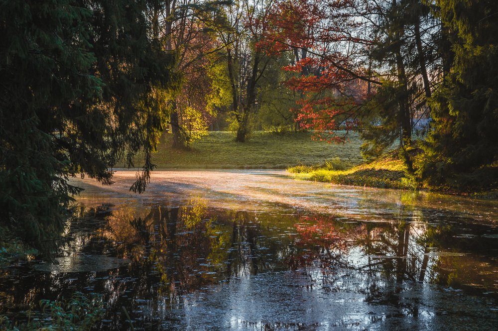 Солнечный пруд.