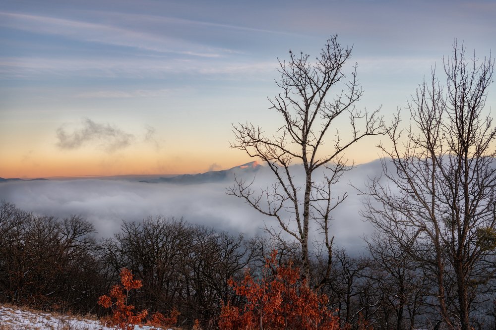 Photograph by Ирина Ульянова